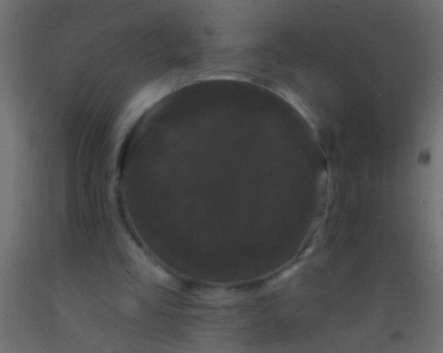 X0000093090293200710101523