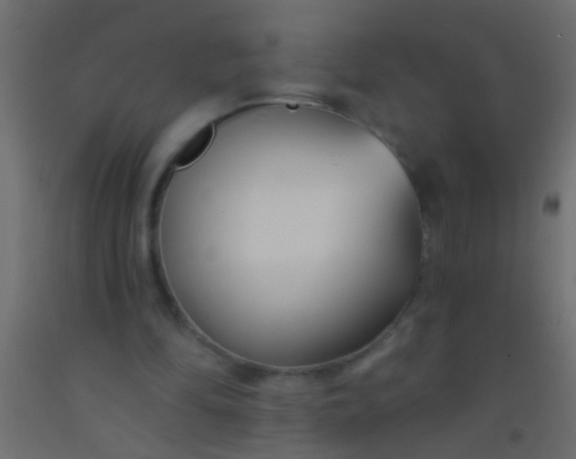 X0000093090294200710101523