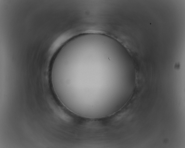 X0000093090296200710101523