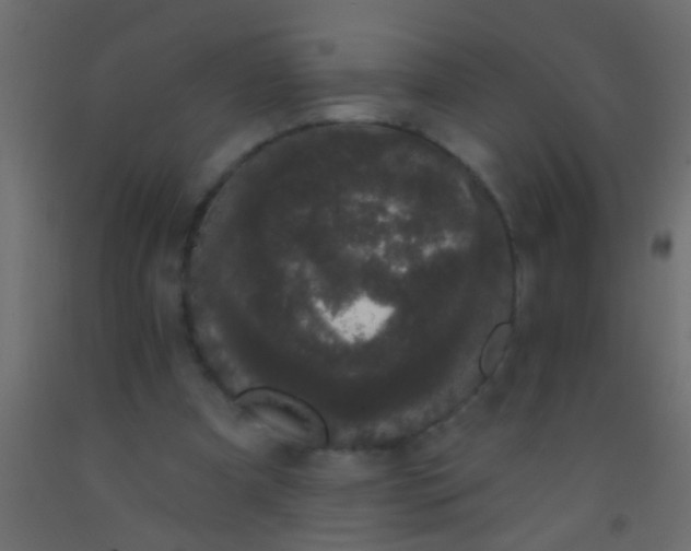 X0000093090297200710101523