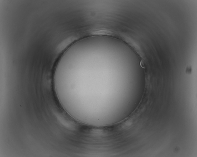 X0000093090298200710101523