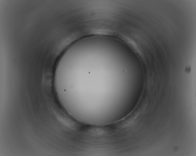 X0000093090299200710101523