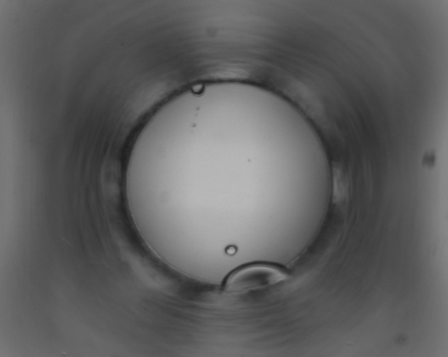 X0000093090300200710101523