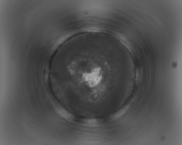 X0000093090301200710101523