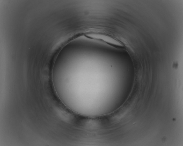 X0000093090303200710101523