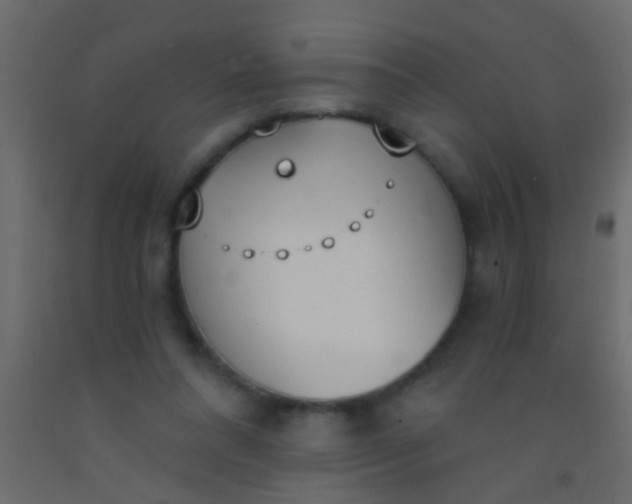 X0000093090304200710101523