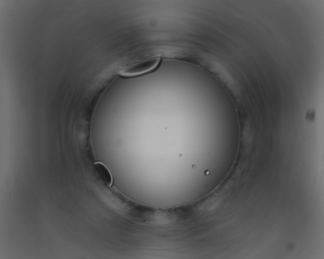 X0000093090305200710101523