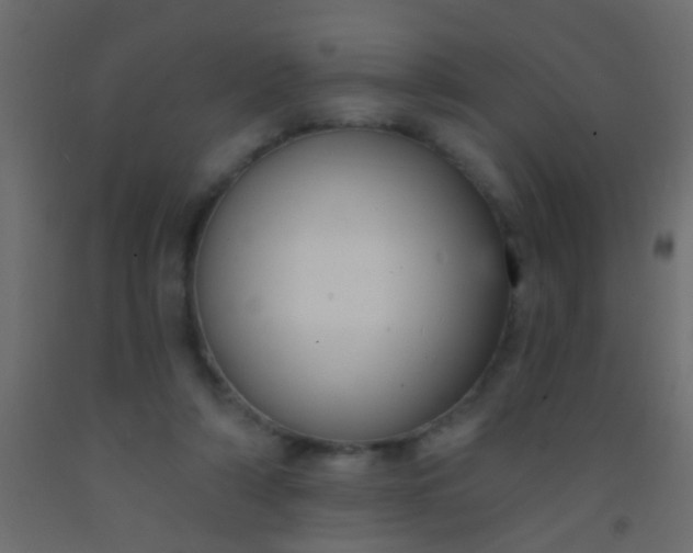 X0000093090306200710101523