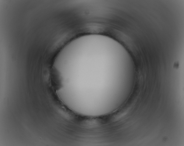 X0000093090307200710101523