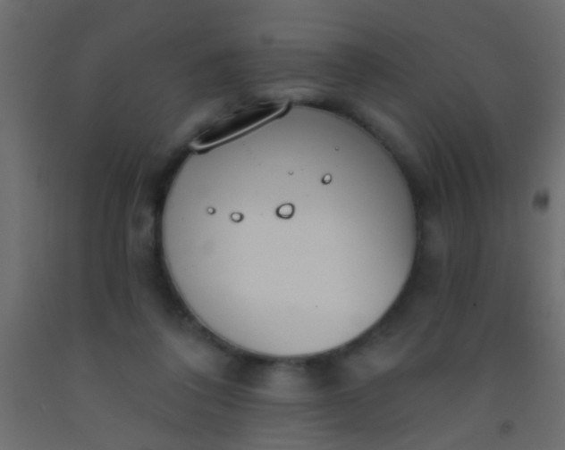 X0000093090308200710101523