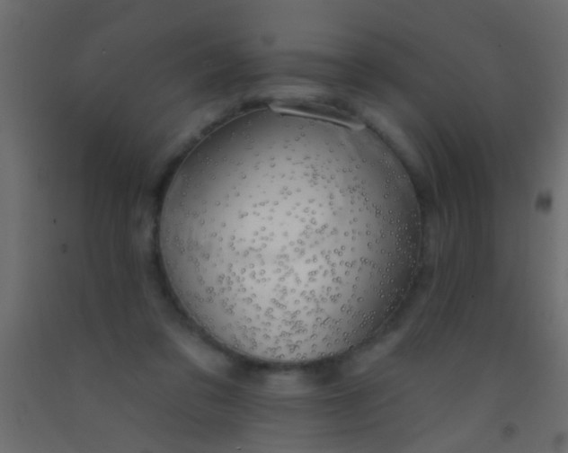 X0000093090309200710101523