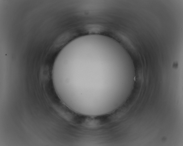 X0000093090311200710101523