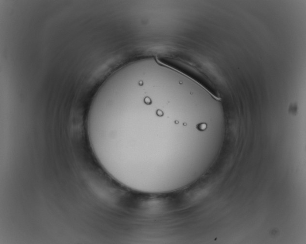 X0000093090312200710101523