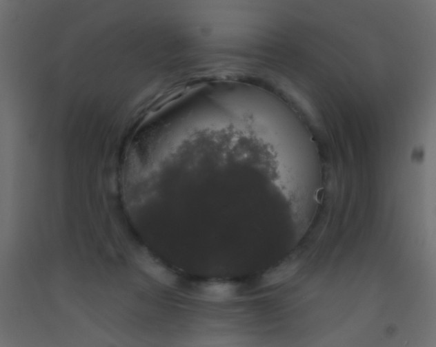 X0000093090313200710101523