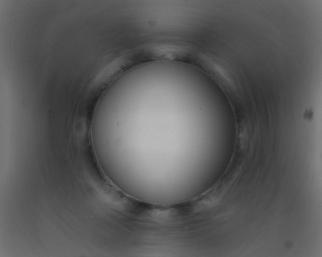 X0000093090314200710101523