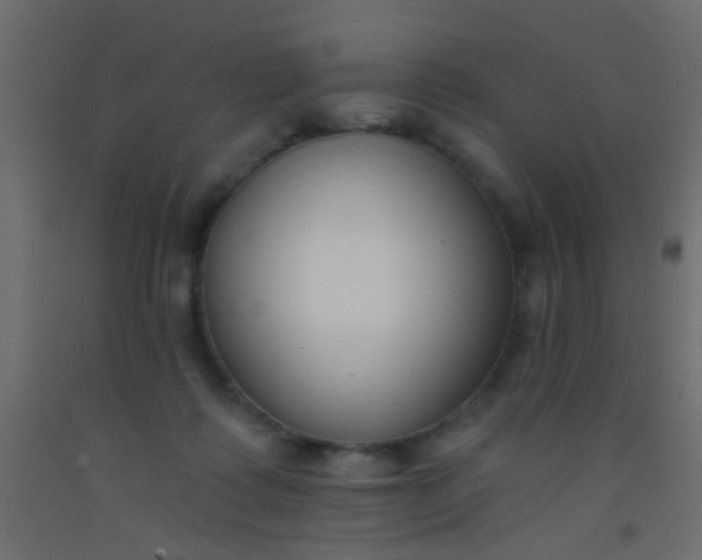 X0000093090315200710101523