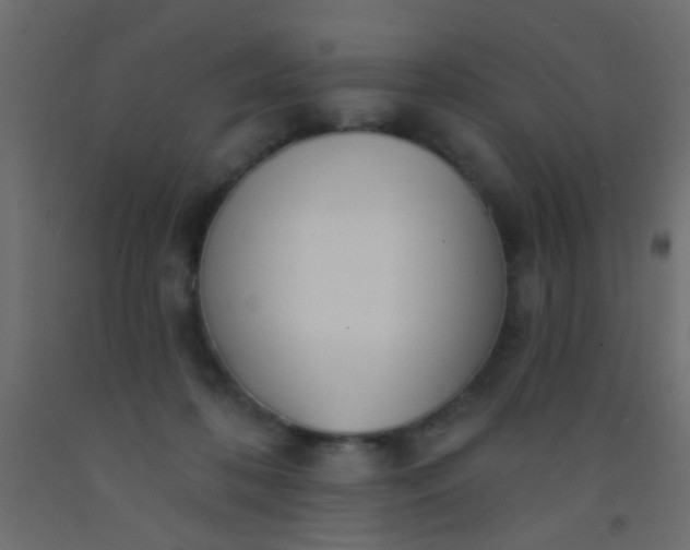 X0000093090316200710101523