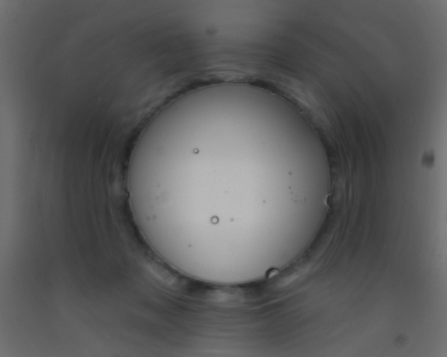 X0000093090317200710101523