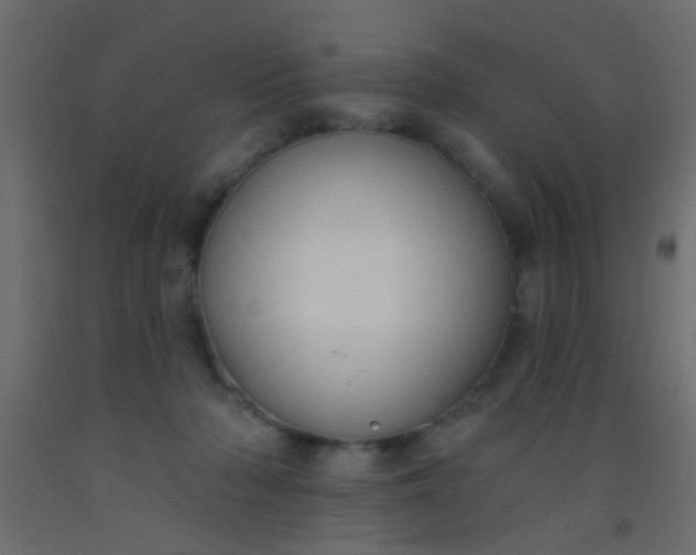 X0000093090318200710101523