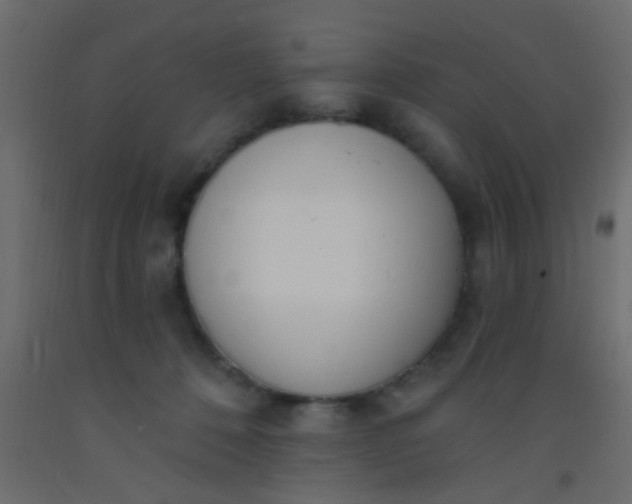 X0000093090320200710101523