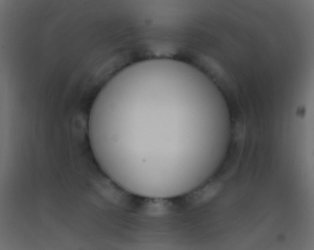 X0000093090321200710101523