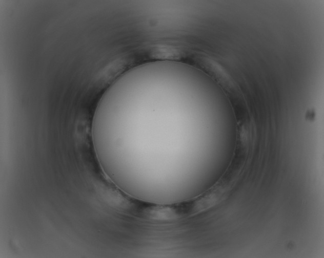 X0000093090322200710101523