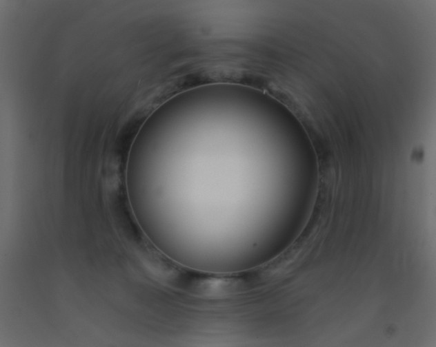 X0000093090323200710101523