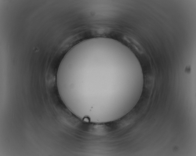 X0000093090324200710101523