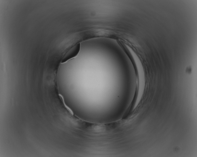 X0000093090325200710101523