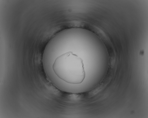 X0000093090326200710101523