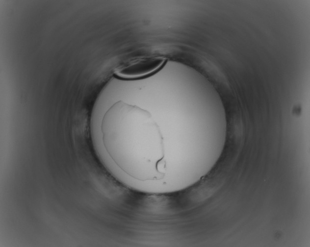 X0000093090328200710101522