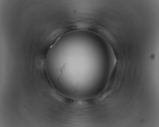 X0000093090329200710101522