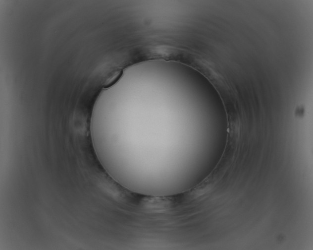 X0000093090331200710101522