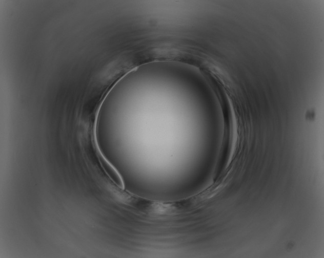 X0000093090333200710101522