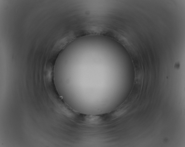 X0000093090334200710101522