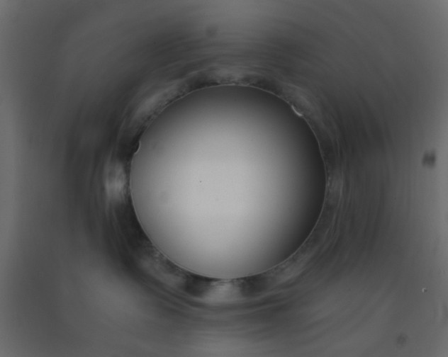 X0000093090335200710101522