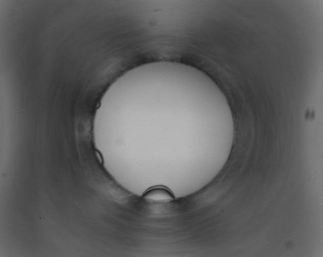 X0000093090336200710101522