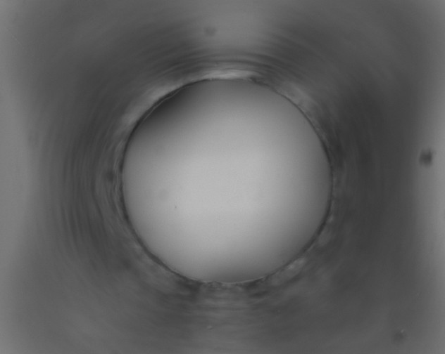 X0000093090337200710101522