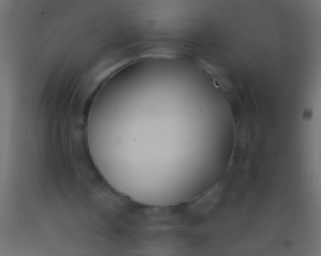 X0000093090338200710101522