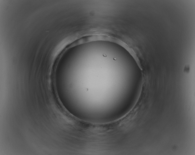 X0000093090340200710101522