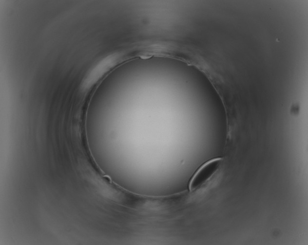 X0000093090341200710101522