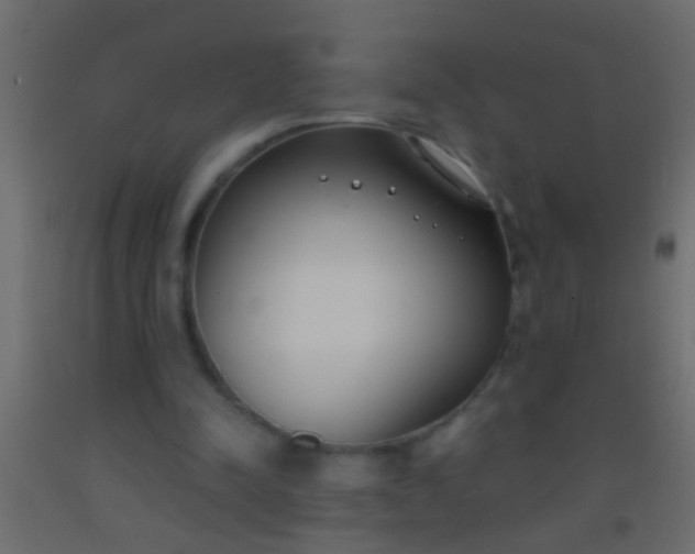 X0000093090342200710101522