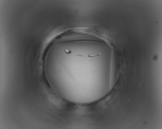 X0000093090343200710101522