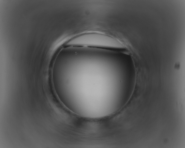 X0000093090344200710101522