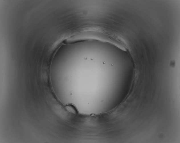 X0000093090345200710101522