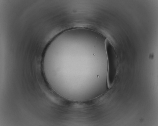 X0000093090346200710101522