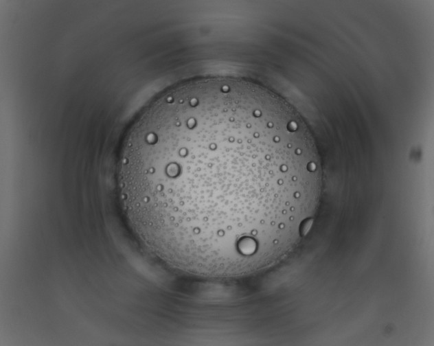 X0000093090347200710101522