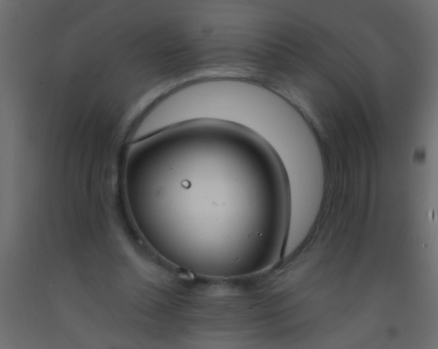 X0000093090348200710101522