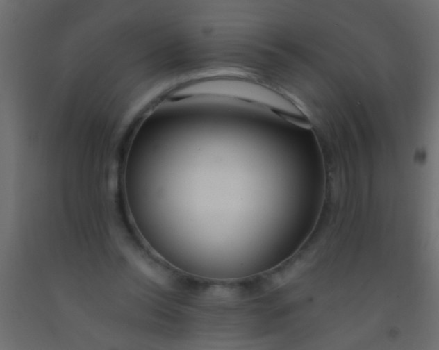 X0000093090350200710101522