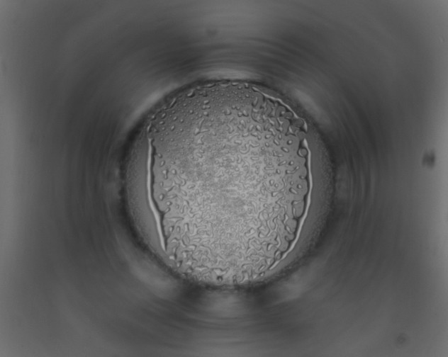 X0000093090351200710101522